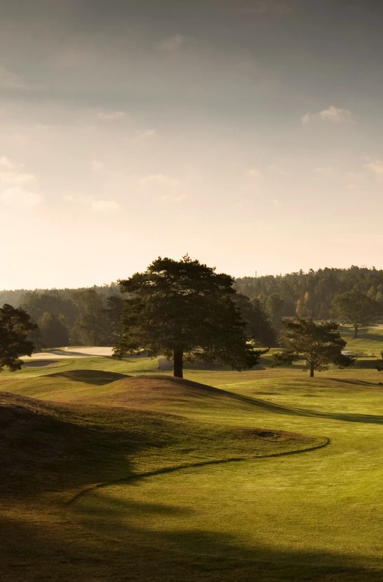 Wermdö Golf & Country Club – Skogsbana i Värmdö, Stockholm